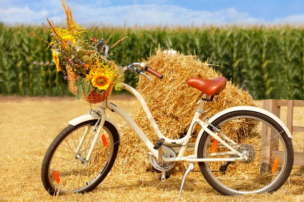 Beautiful Rural Provence End Summer Still Life Ladies Bike Bouquet — Stock Photo, Image