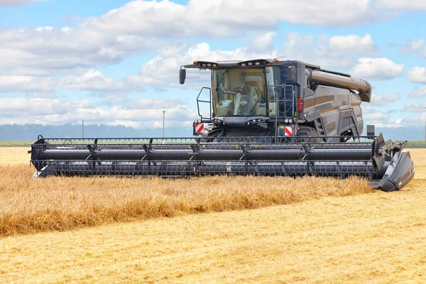 夏天的一天 在多云的天空和厚厚的小麦的背景下 一个巨大的黑色联合收割机正在田里收割小麦 复制空间 — 图库照片