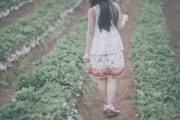 Skörd flicka på fältet jordgubb — Stockfoto