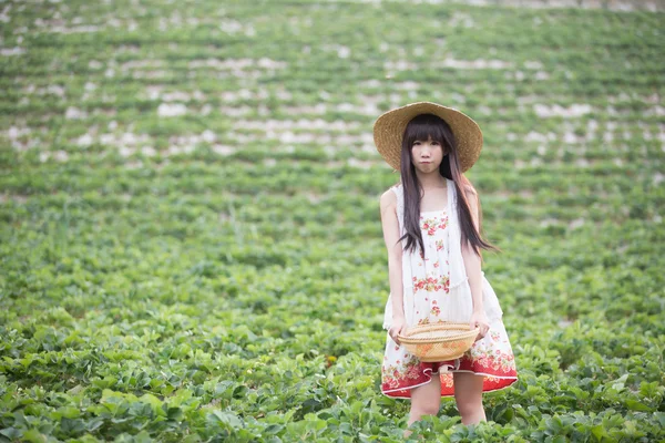 Oogsten meisje op de aardbei veld — Stockfoto