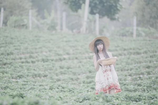 Chica cosechadora en el campo de fresas —  Fotos de Stock