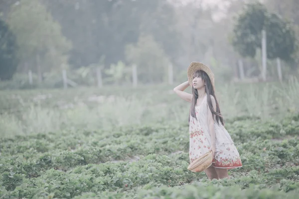 딸기 밭에 수확 소녀 — 스톡 사진