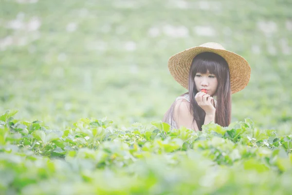 Chica cosechadora en el campo de fresas —  Fotos de Stock