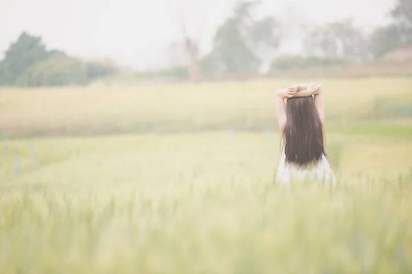 Buğday alanında Asyalı kız — Stok fotoğraf