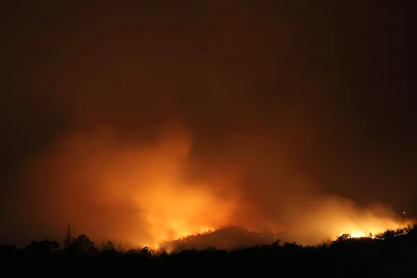 Feu de forêt avec longue vitesse d'obturation — Photo