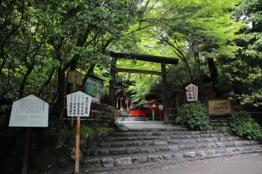 Japonca tapınak Japon kırmızı kapı ve yeşil akçaağaç bırakır