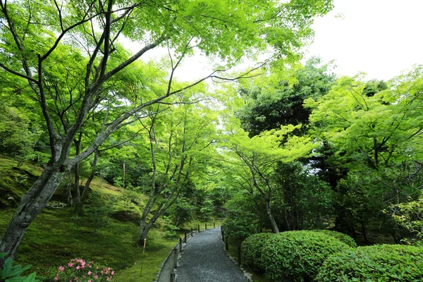 Japonais jardin dans kyoto japon — Photo
