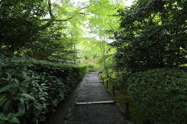 Kyoto Japonya 'daki Japon bahçesi. — Stok fotoğraf