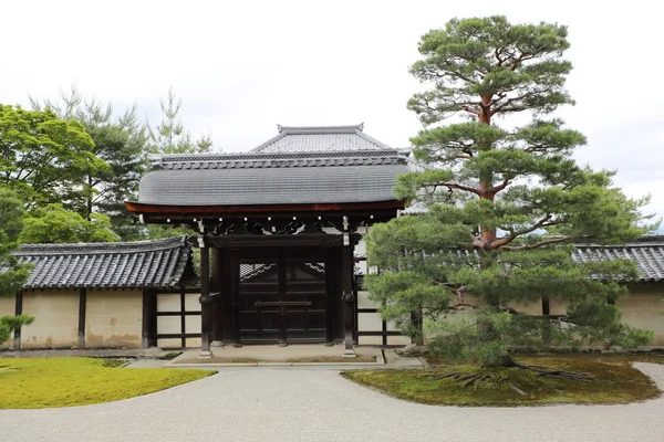 Tempio giapponese con porta rossa giapponese e foglie d'acero verde in — Foto Stock