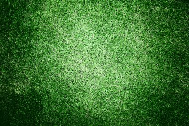 yeşil çimen arkaplan dokusu