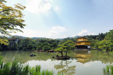 Kinkakuji Tapınağı altın köşk Kyoto, Japonya 