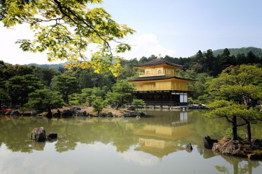 Kinkakuji Tapınağı altın köşk Kyoto, Japonya 