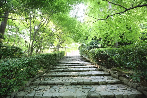 Japanese garden in kyoto japan — Stock Photo, Image