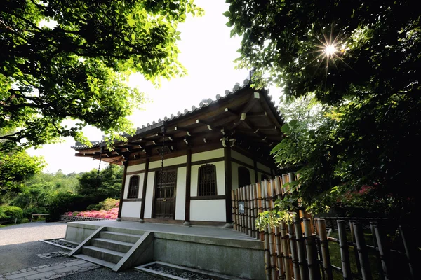 Japansk tempel med japansk rød port og grønne ahornblade i - Stock-foto