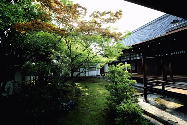 日本在日本日本寺京都花园 — 图库照片