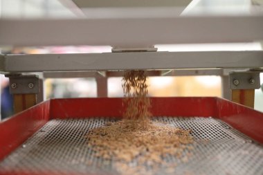 Fabrika makinesi pirinç öğütüyor.