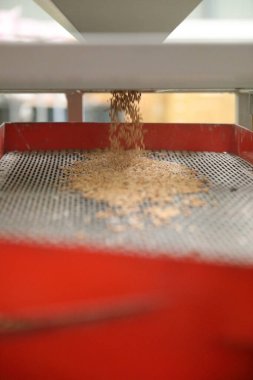 Fabrika makinesi pirinç öğütüyor.