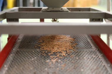 Fabrika makinesi pirinç öğütüyor.