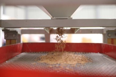 Fabrika makinesi pirinç öğütüyor.