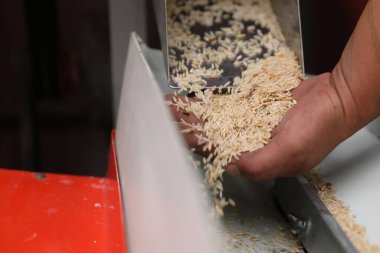 Fabrika makinesi pirinç öğütüyor.