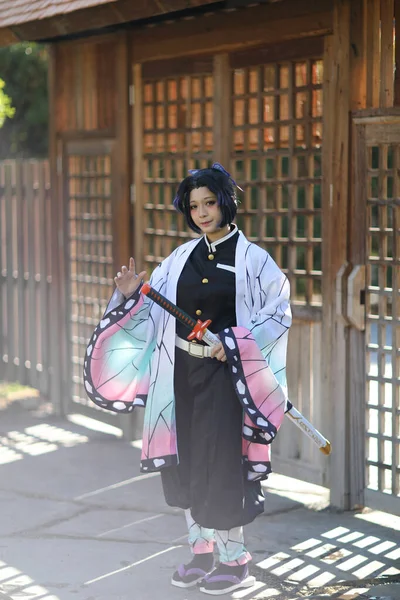 Japão Anime Cosplay Retrato Menina Com Traje Cômico Com Jardim — Fotografia de Stock