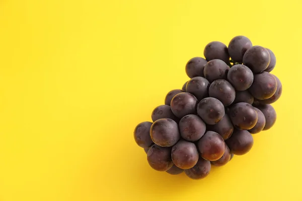 Czerwone Winogrona Izolowane Żółtym Tle — Zdjęcie stockowe
