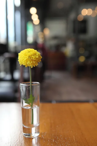 Flower in jar — Stock Photo, Image