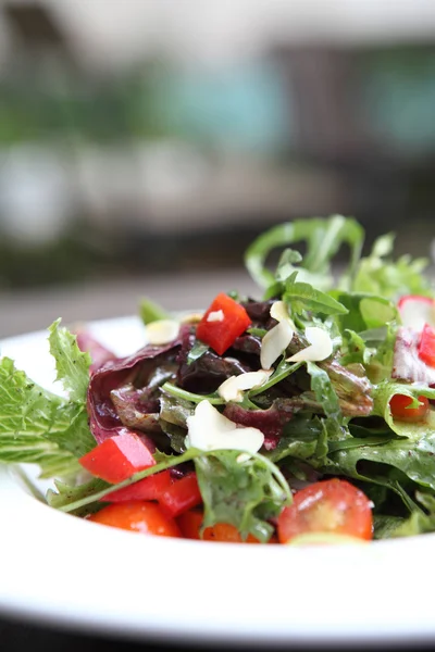 Ensalada en primer plano —  Fotos de Stock