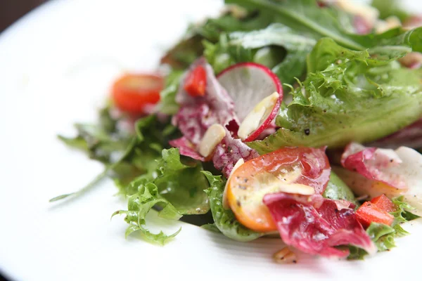 Ensalada en primer plano —  Fotos de Stock