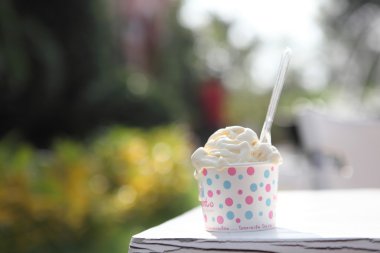 Vanilyalı dondurma.