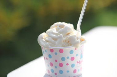 Vanilyalı dondurma.