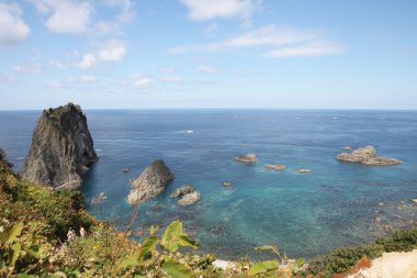 Japonya'da deniz