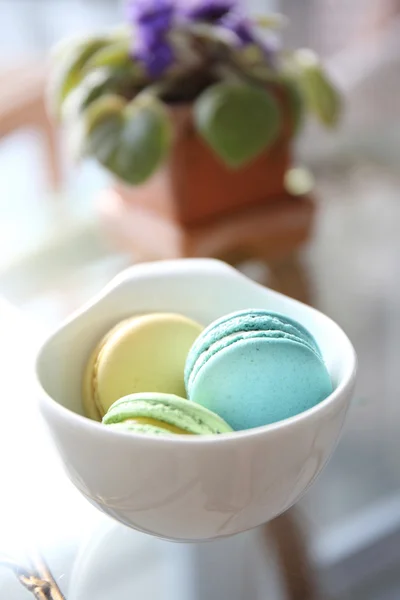 Macaron colorido em close-up isolado no fundo branco — Fotografia de Stock