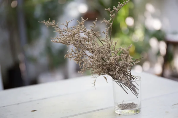 瓶の中の花します。 — ストック写真