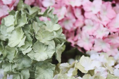 Renkli çiçek kağıt arka plan deseni 