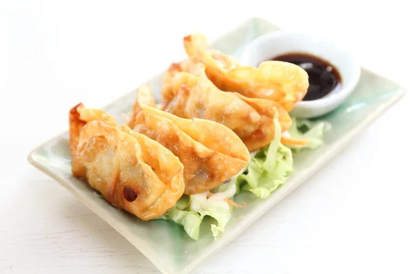 Gyoza... — Fotografia de Stock