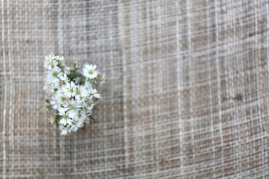 kavanozun içinde çiçek