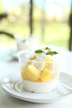 Mango Panna cotta 