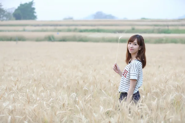 在草地上的年轻女子 — 图库照片