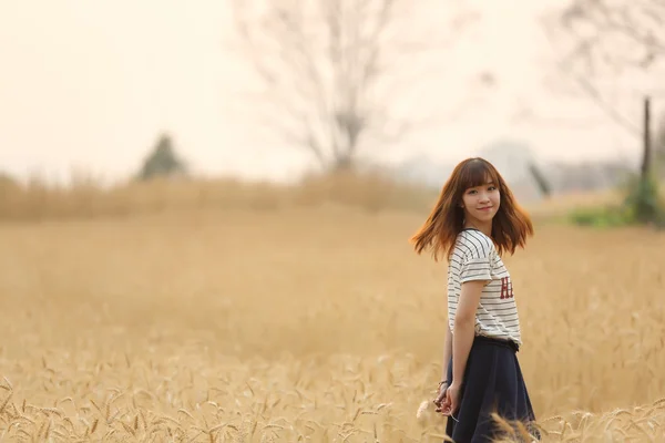 Mladá žena v pšenici — Stock fotografie