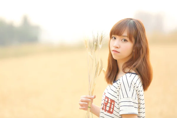Junge Frau im Weizen — Stockfoto