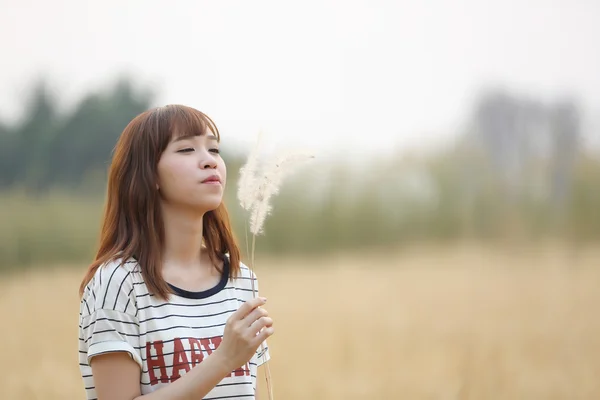 Young woman in wheat — Stock Photo, Image