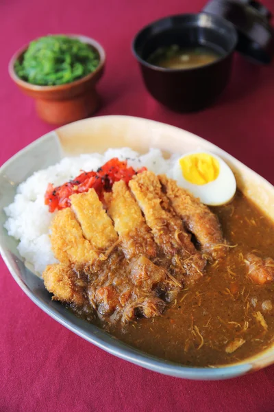 Riz au curry avec porc frit — Photo