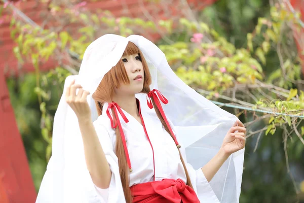 Japanese Women in Traditional Dress Miko — Stock Photo, Image