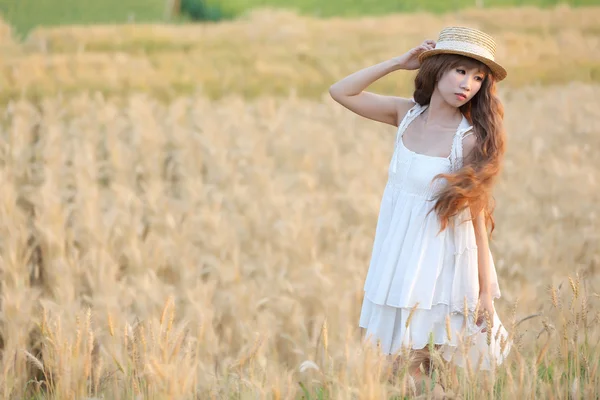 Asian girl on wheat — Stock Photo, Image