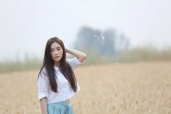 Asiatico ragazza su grano campo — Foto Stock