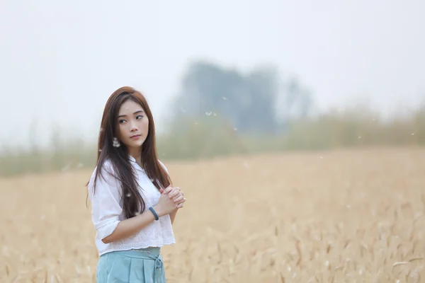 Asian girl on wheat field — Stock Photo, Image