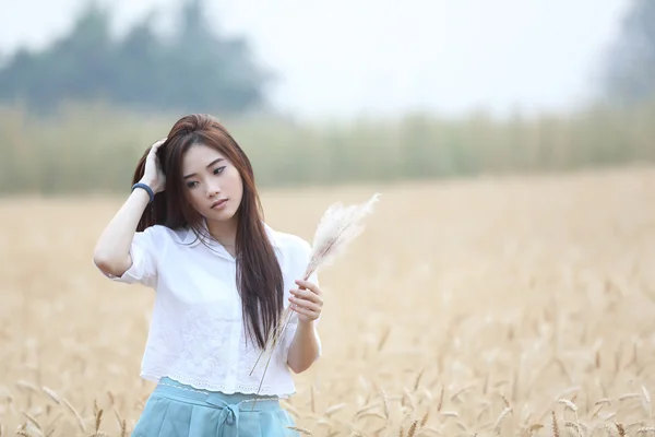 Asiatico ragazza su grano campo — Foto Stock