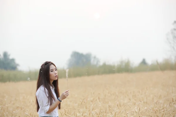 Aziatische meisje op tarweveld — Stockfoto