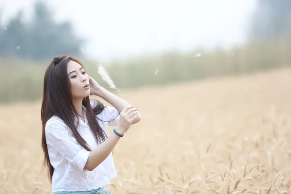 Menina asiática no campo de trigo — Fotografia de Stock